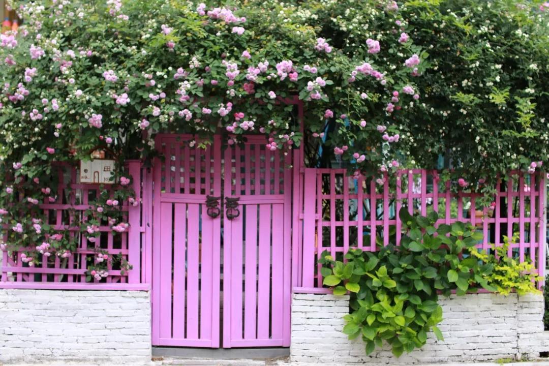 “寵妻狂魔”打造全手工花園，順手開(kāi)創(chuàng)無(wú)數(shù)網(wǎng)紅爆款···