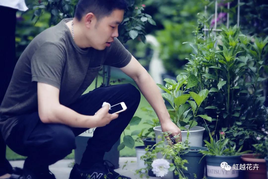 史上最硬核花園主，是怎樣拿下三年繡球比美冠軍的？