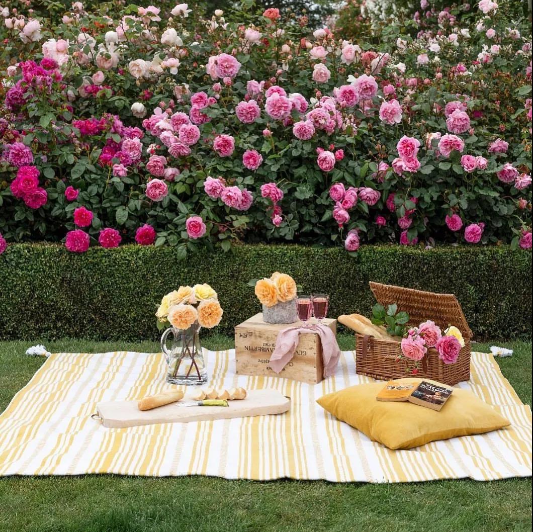 把握九月黃金期，換盆、修剪......這些養(yǎng)護(hù)別松懈