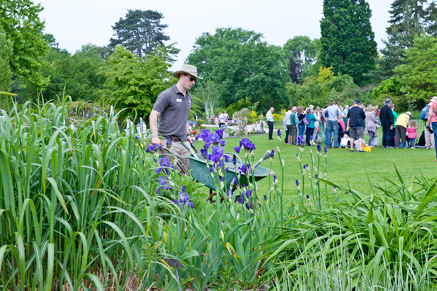 一年一度清園季！學(xué)會這波操作，病蟲統(tǒng)統(tǒng)不見~