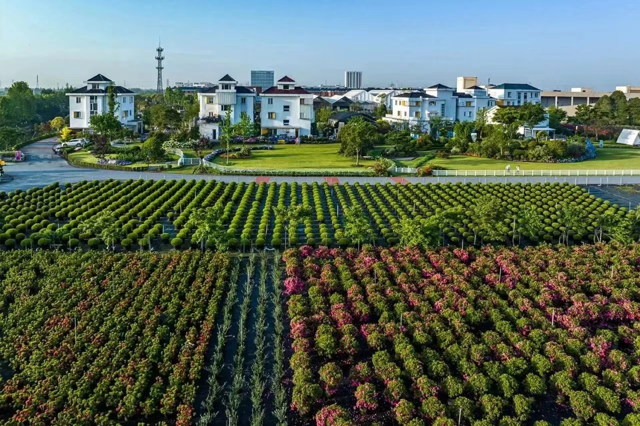 過年不打烊！虹越線上零售渠道營業(yè)安排通知！