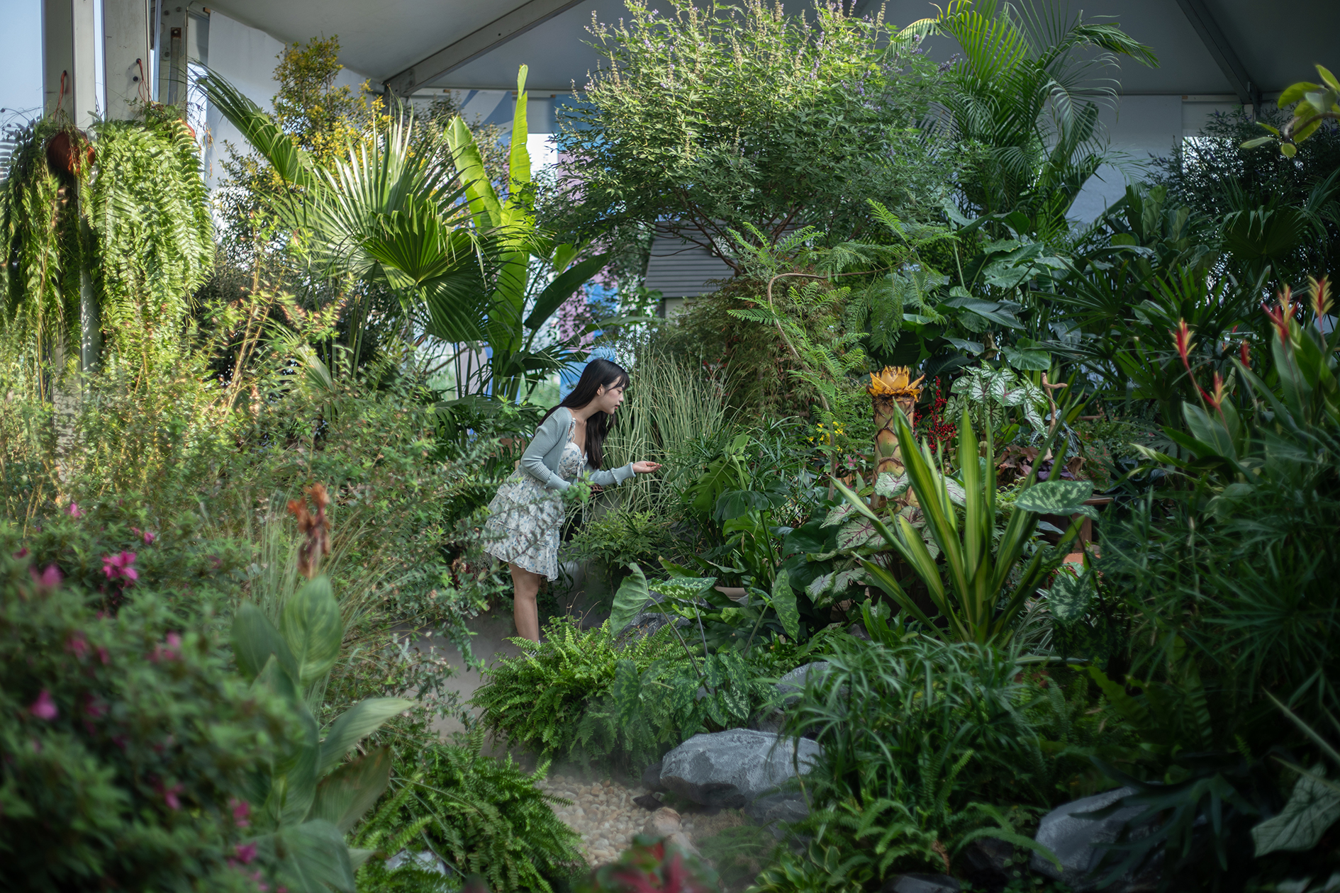 官宣！世界花園大會增設(shè)武漢分會場