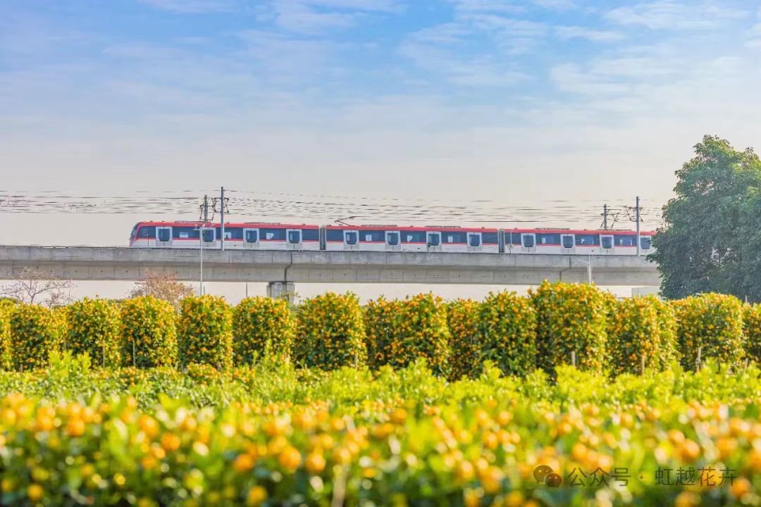 3月又有新花展！還有園藝大咖齊聚，解鎖美麗生活新方式