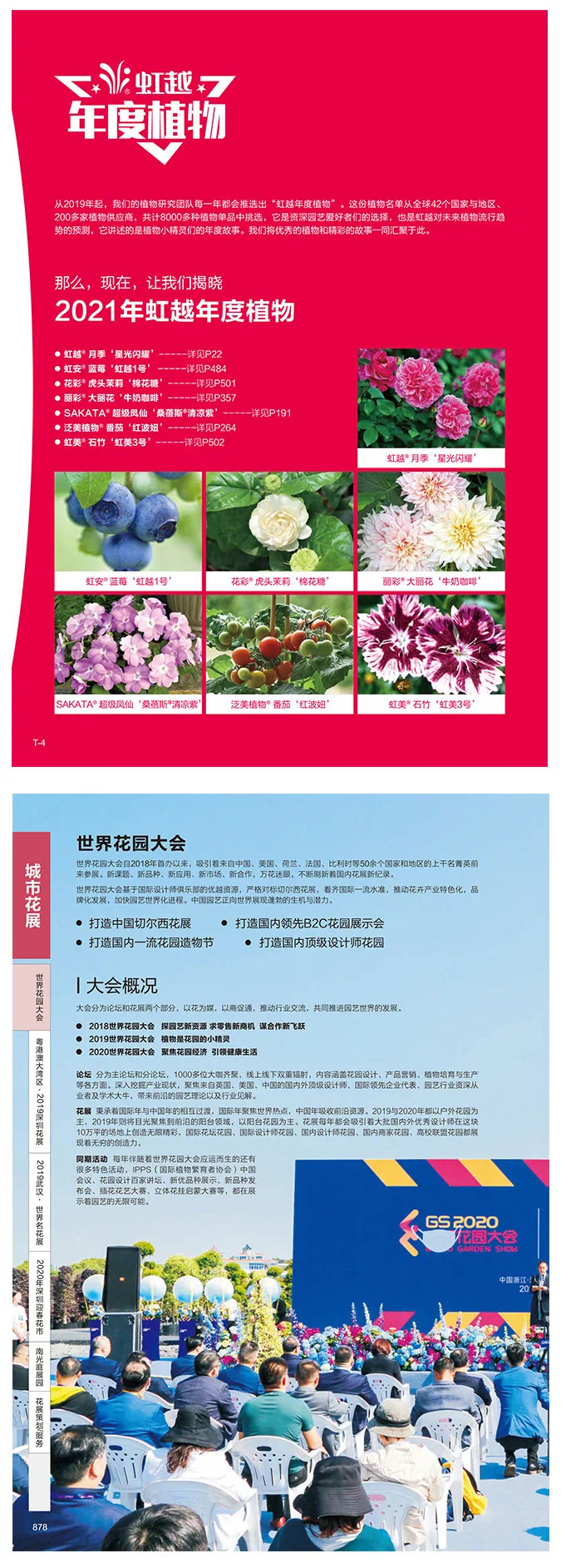 1610011756421702.jpeg WechatIMG614.jpeg