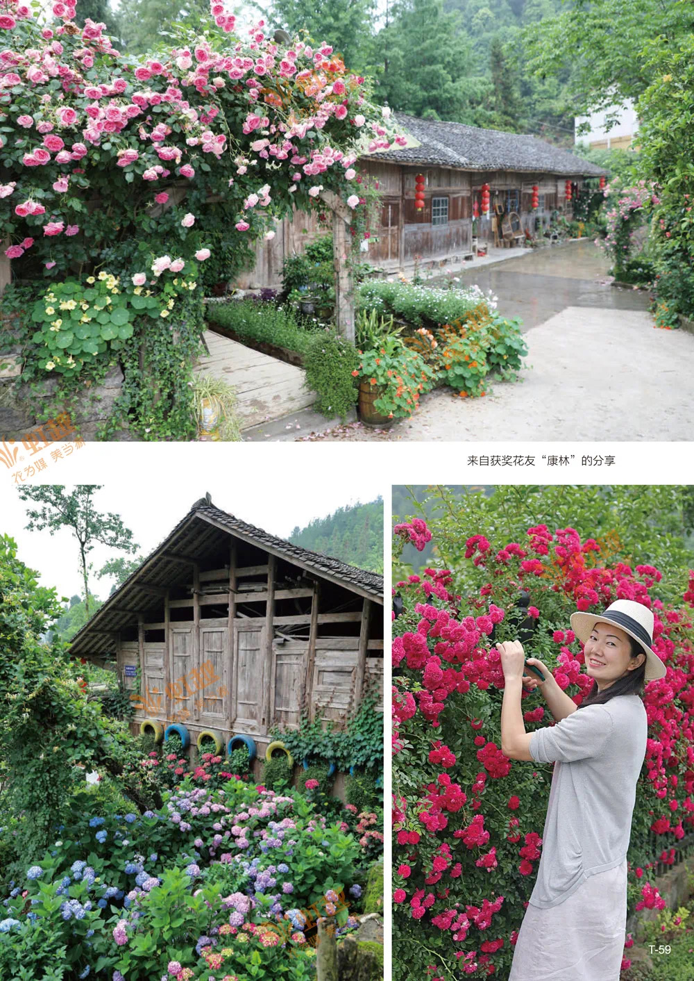 1610011775569441.jpeg WechatIMG615.jpeg