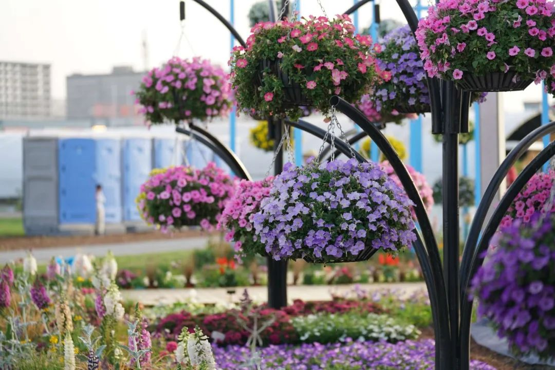 1647240544863325.png image.png