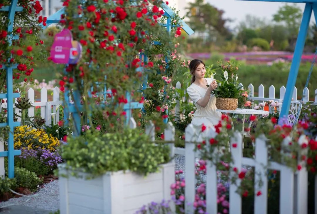 1647240990445719.png image.png