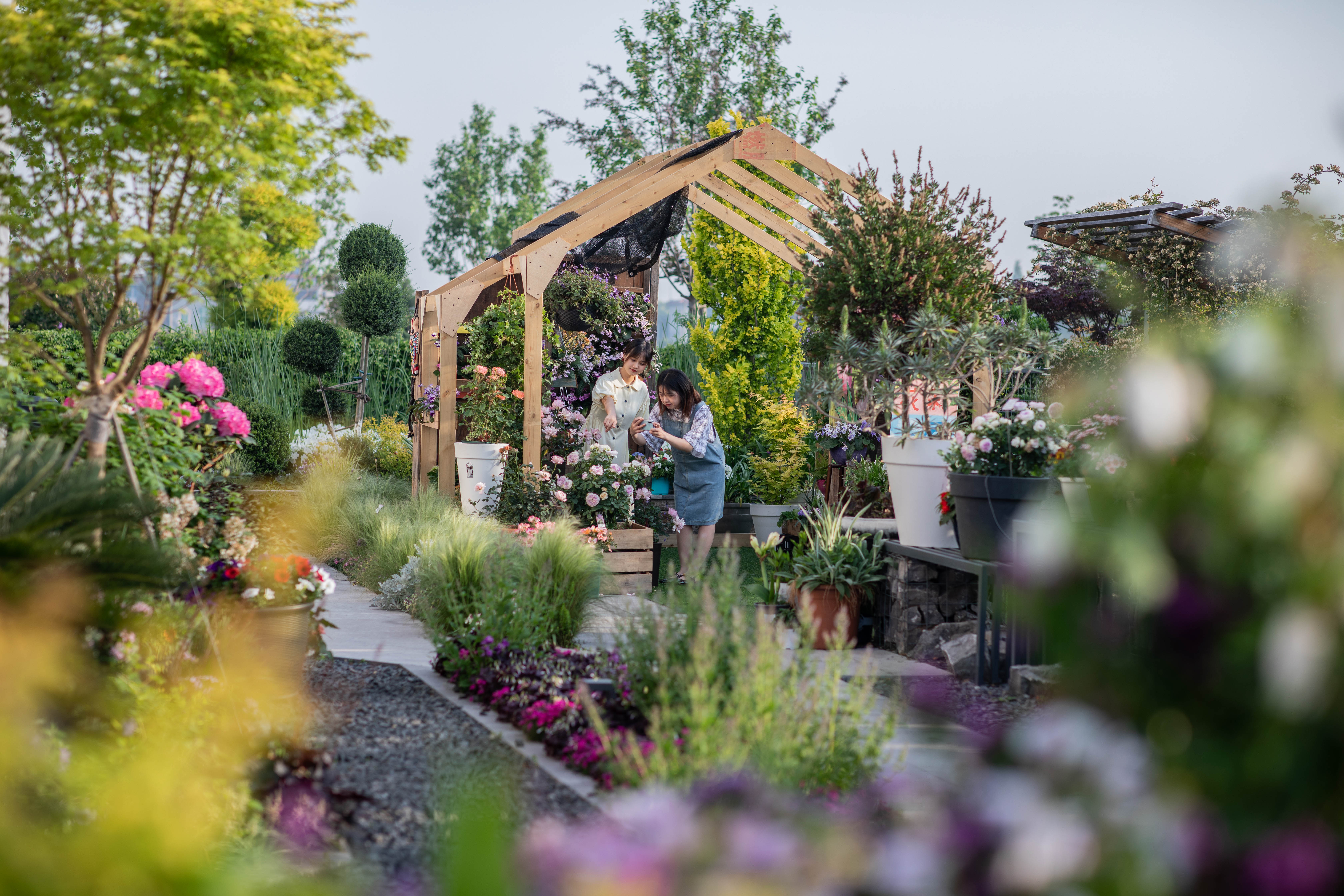 1710335757496122.jpg 1710335757496122.jpg